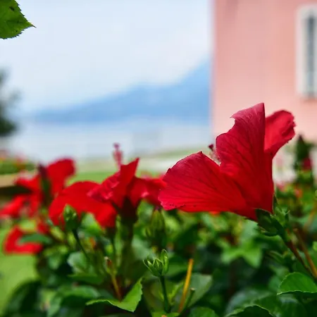 Villa Easy Welcome Perledina - Varenna