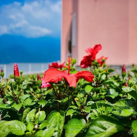 Easy Welcome Perledina - Varenna